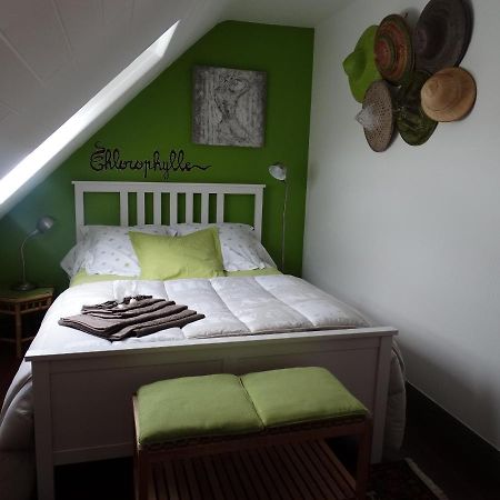 Chambres D'Hotes De La Voie Romaine Plouigneau Exteriér fotografie